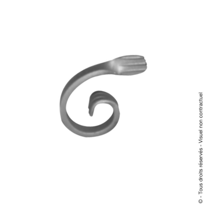 Volute 12 Volute 12