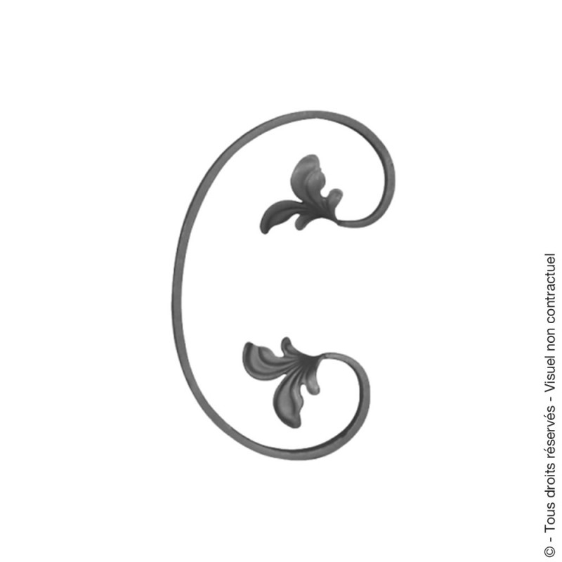 Volute 34 Volute 34