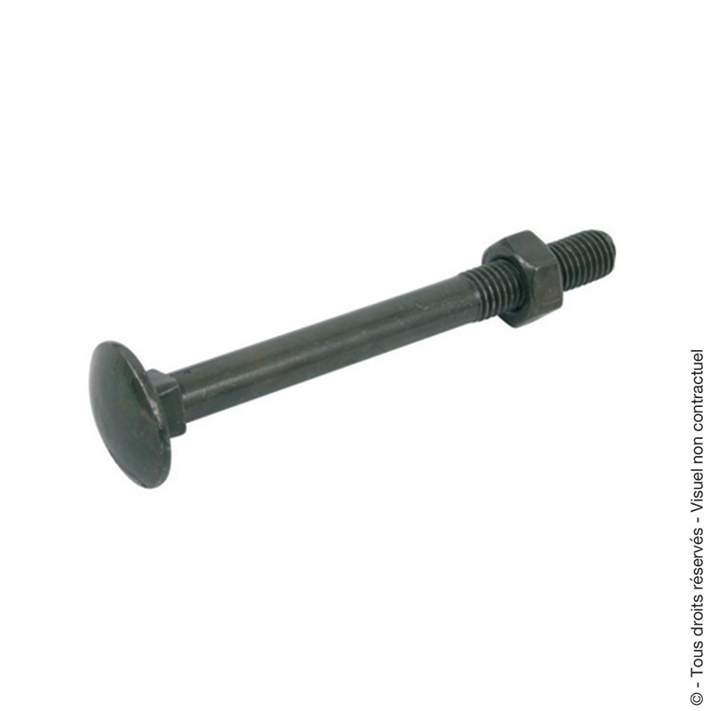 Boulon TRCC (x8 ou x30 pièces) Boulon TRCC (x8 ou x30 pièces)