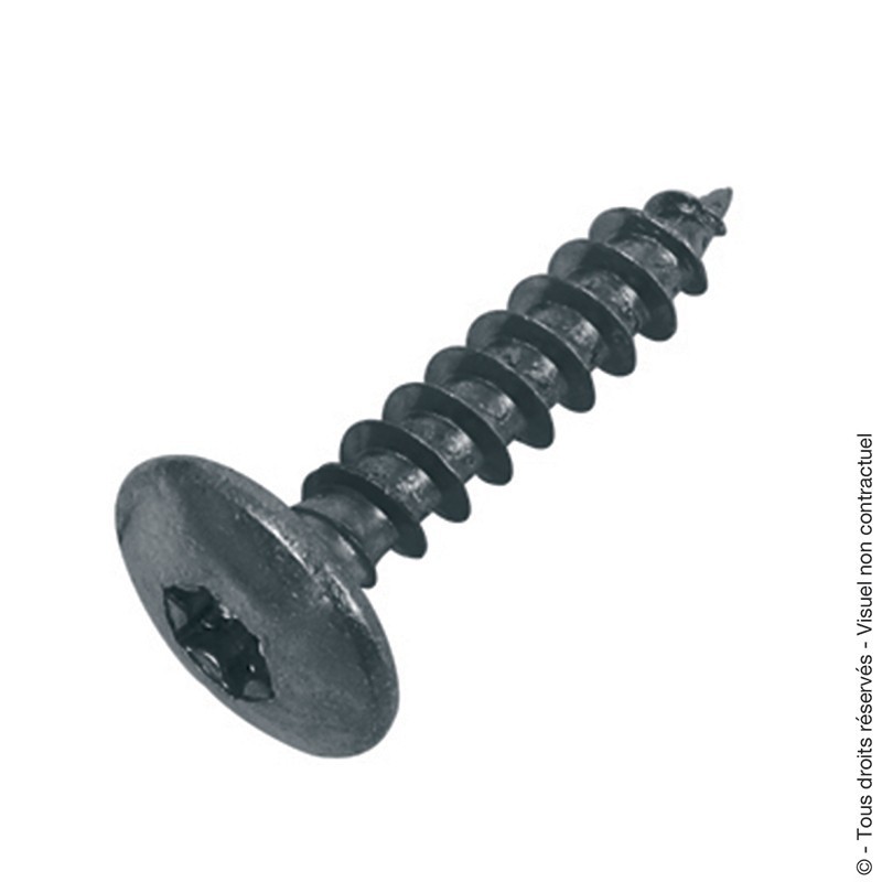 Vis penture (x8 ou x30 pièces) Vis penture (x8 ou x30 pièces)