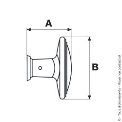 Crémone fonctionnelle + Bouton ovale